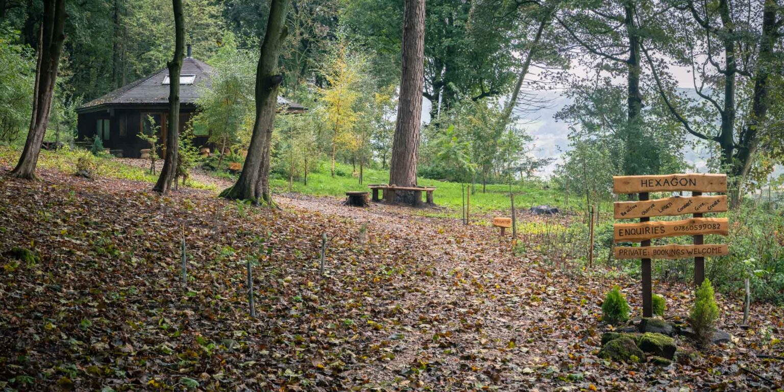 A leaf covered path leads up to Whitewoods Wellbeing's hexagonal Study Barn at Fishpond Wood, Bewerley