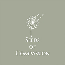 seeds of compassion 1 - Fishpond Wood, Bewerley, Nidderdale