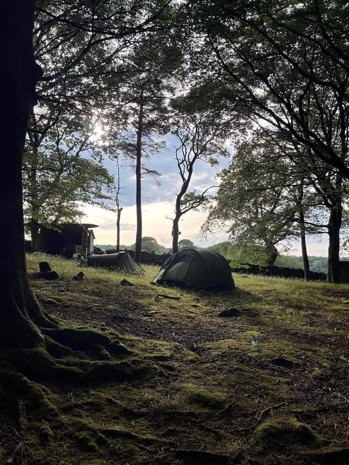 art hike 3 - Fishpond Wood, Bewerley, Nidderdale