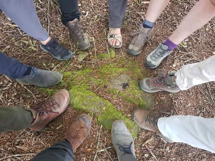 arthike 1 1 - Fishpond Wood, Bewerley, Nidderdale