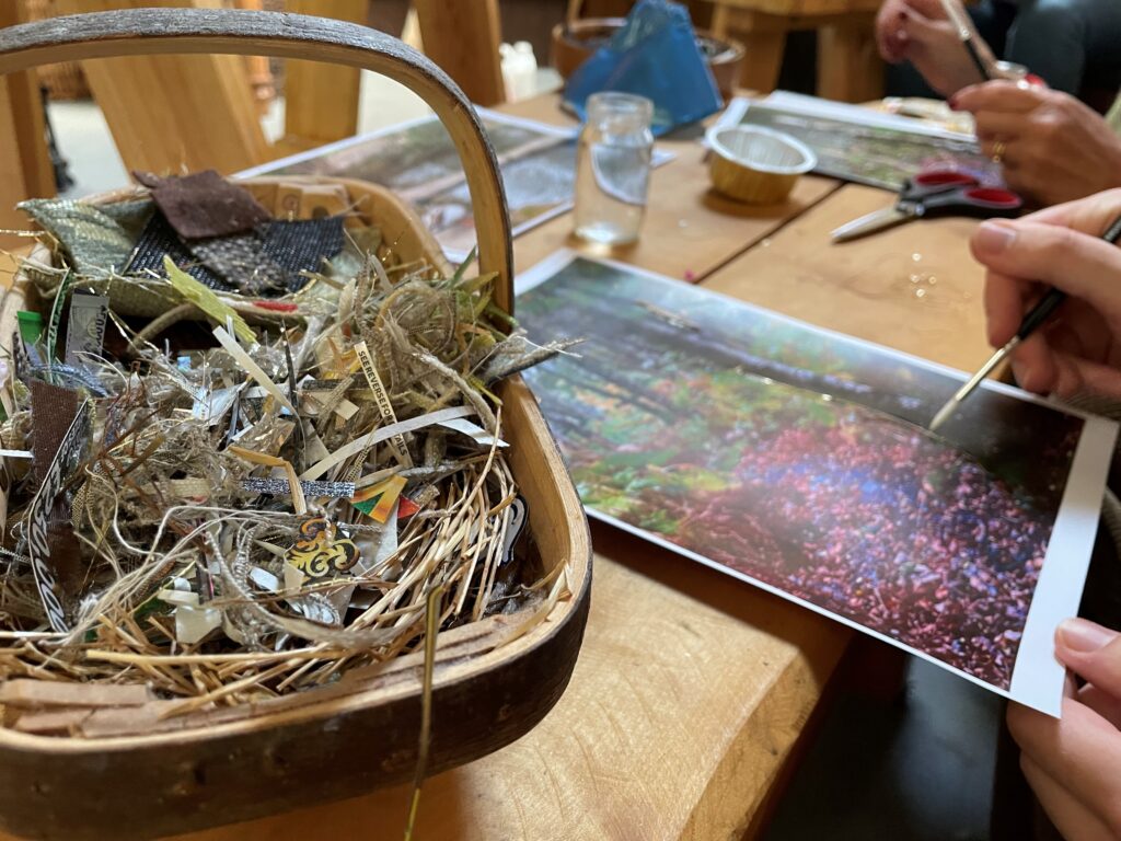 collage photo - Fishpond Wood, Bewerley, Nidderdale