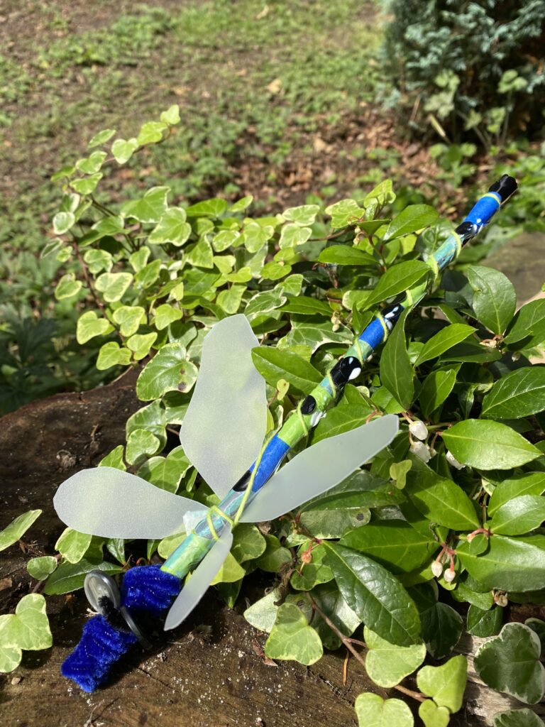 Dragonfly - Fishpond Wood, Bewerley, Nidderdale
