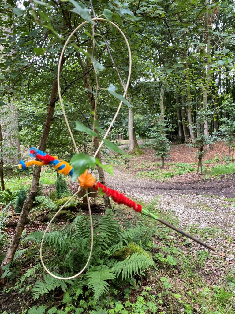 Dragonfly age 82 - Fishpond Wood, Bewerley, Nidderdale