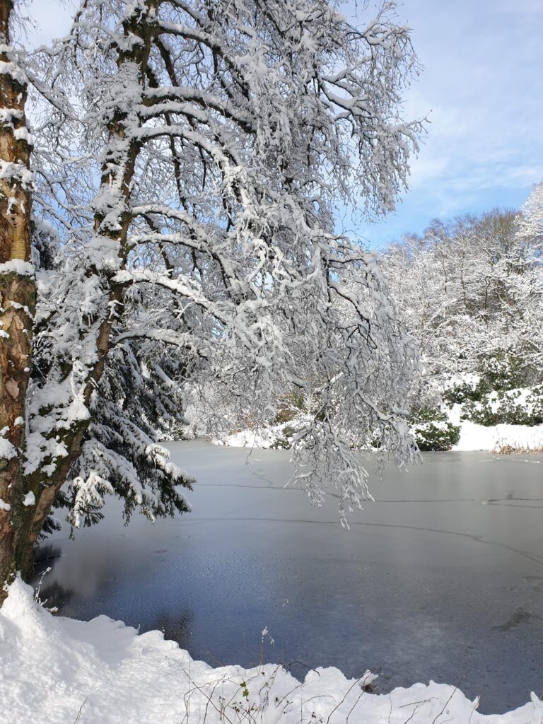 20230310 102217 - Fishpond Wood, Bewerley, Nidderdale
