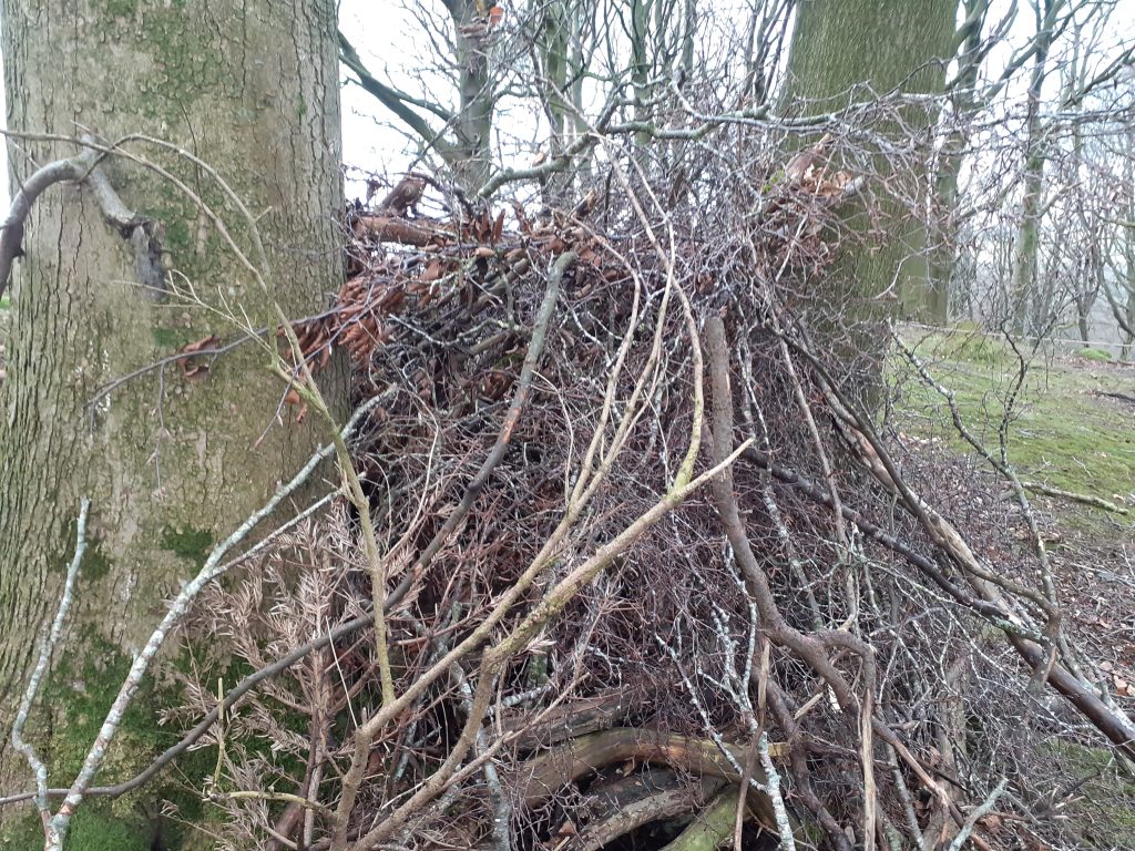 den 4 - Fishpond Wood, Bewerley, Nidderdale