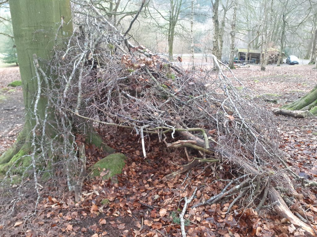 den 6 - Fishpond Wood, Bewerley, Nidderdale