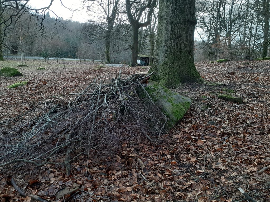 den3 - Fishpond Wood, Bewerley, Nidderdale