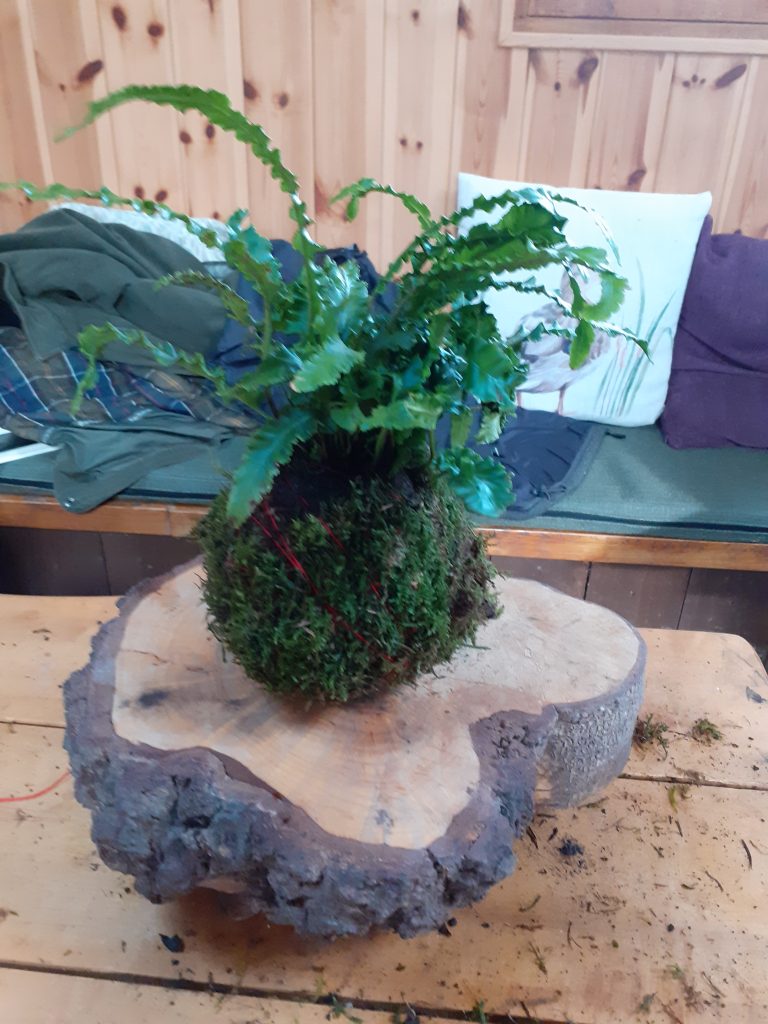 kokedama 2 - Fishpond Wood, Bewerley, Nidderdale