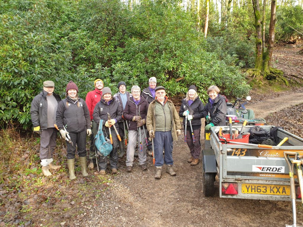 rhodi 1 - Fishpond Wood, Bewerley, Nidderdale
