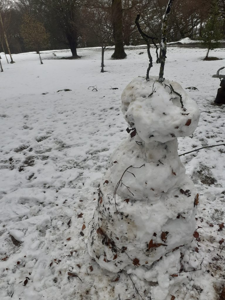 snowman - Fishpond Wood, Bewerley, Nidderdale