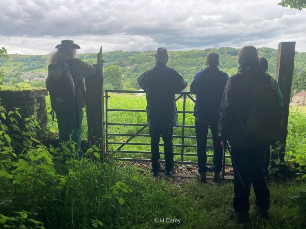 LL group - Fishpond Wood, Bewerley, Nidderdale