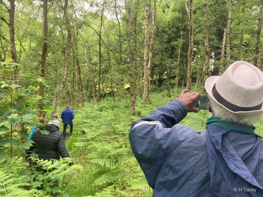 ll 2 - Fishpond Wood, Bewerley, Nidderdale