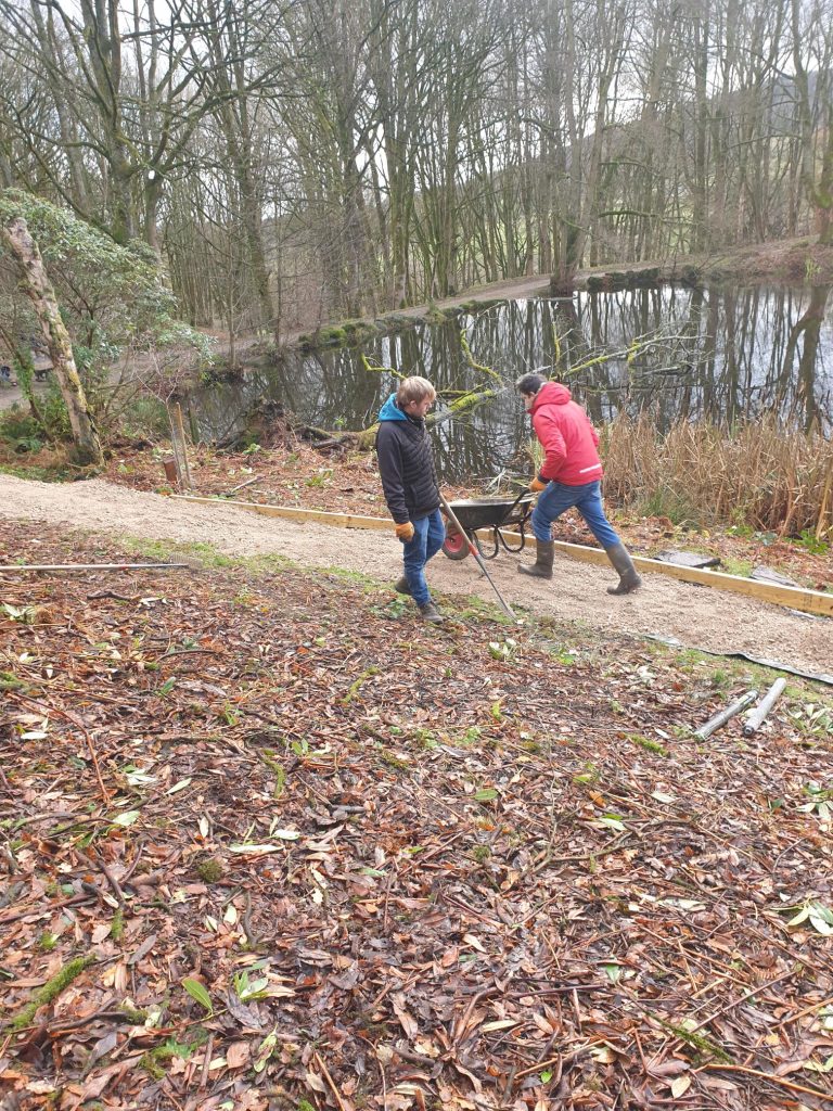 path 1 - Fishpond Wood, Bewerley, Nidderdale