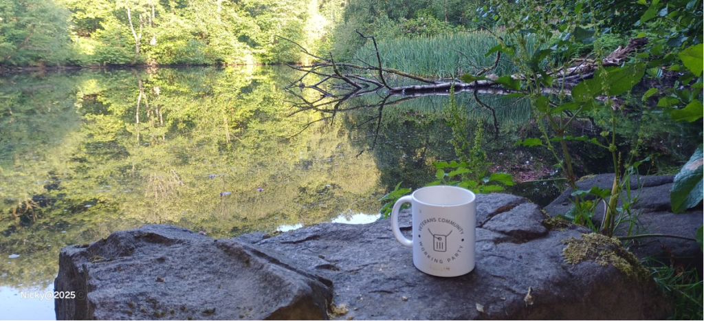 image - Fishpond Wood, Bewerley, Nidderdale