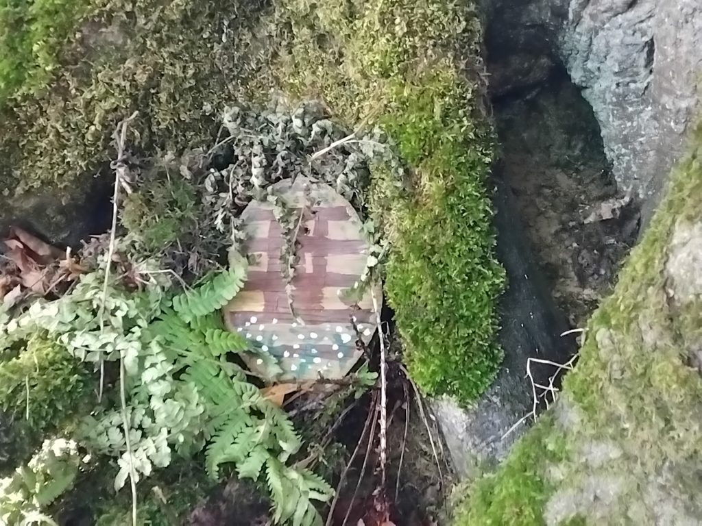 1000031190 - Fishpond Wood, Bewerley, Nidderdale