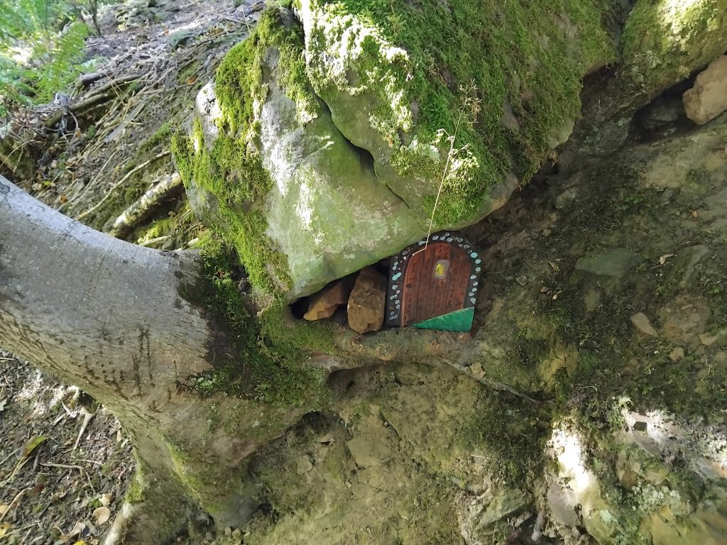 g door - Fishpond Wood, Bewerley, Nidderdale